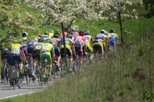Course cycliste 8 mai        